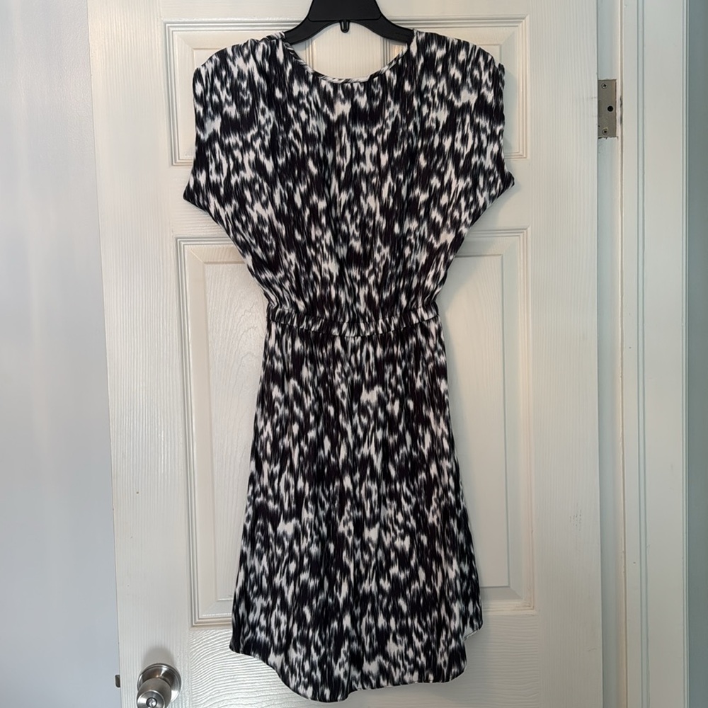 Express Dress - Picture 5 of 5